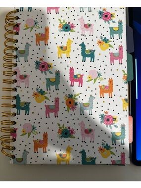 Carpe Diem Llama B5 Project Notebook Journal - Colorful Print